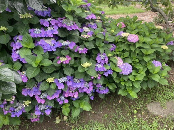 現場で季節を感じる①