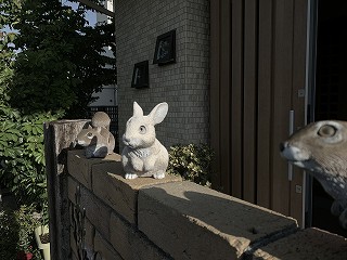 新緑の季節！！