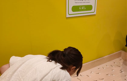 キボリノコンノ展🌳