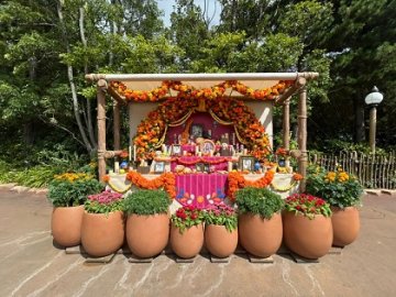 早めのハロウィン🎃