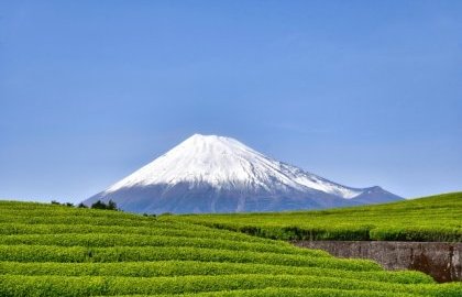 🏠一級建築士が明かす🏠　静岡の風土に寄り添う家づくり【焼津市・藤枝市・島田市・牧之原市・吉田町新築コラムVol.323】