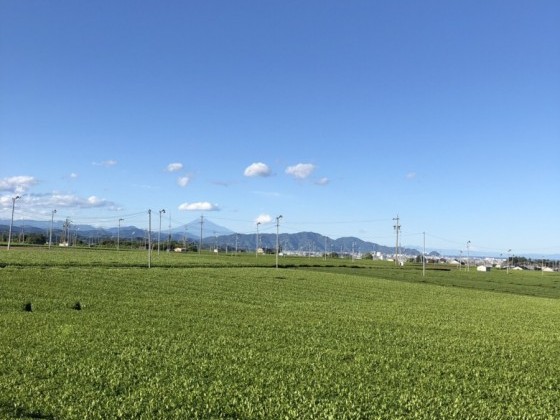 こだわりの絶景