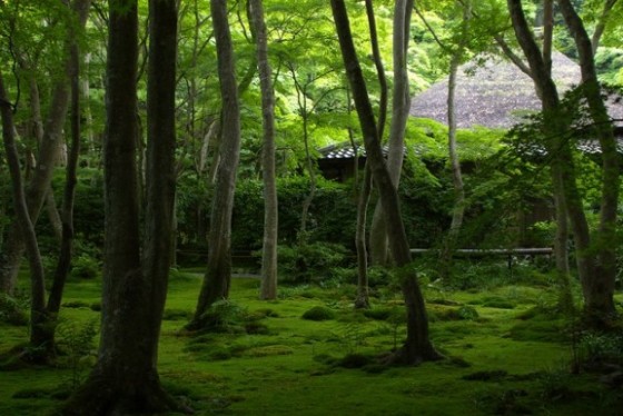 おすすめスポット！