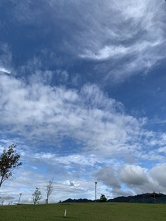 ガーデニングっていいね!!