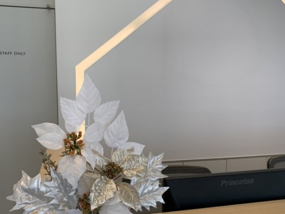 わくわくの季節です♪