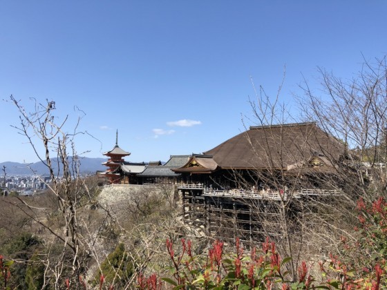 〇〇を使っていないお寺