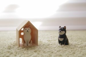 【焼津市・藤枝市・島田市・牧之原市・吉田町新築コラムVol.73】ペットとの暮らし②