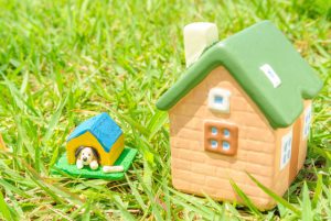 【焼津市・藤枝市・島田市・牧之原市・吉田町新築コラムVol.76】ペットとの暮らし③