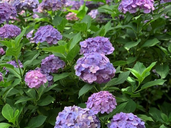 お家のメンテナンス！