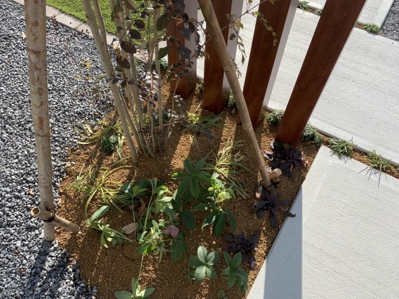 素敵な外構工事完成しました！！