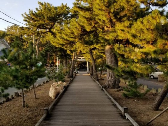秋の始まりと感じ方