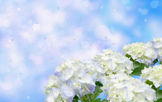 てるてるレインボー！？