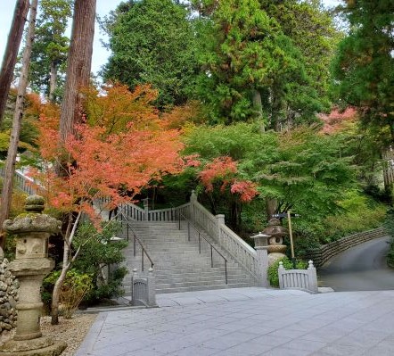 紅葉はいいですね～