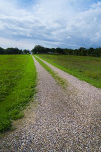 【焼津市・藤枝市・島田市・牧之原市・吉田町新築コラムVol.161】新築住宅を建てる際に大切な道路のお話③