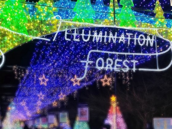 イルミネーション⛄