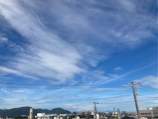 現場から見える景色