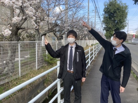 春といえば・・・