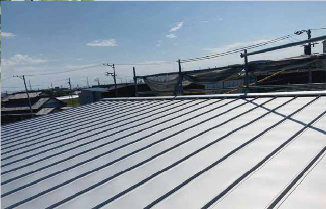 ニクスカラーPro